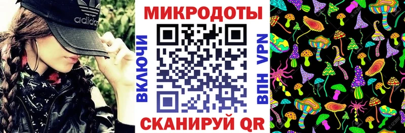 купить цена Энгельс Псилоцибиновые грибы Cubensis
